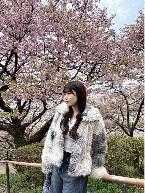 【早めの桜を見てきました♪】