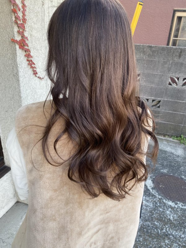 Longhair brown