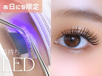 【8月限定】リピート多数LEDフラットラッシュ100本　¥6500→¥6000