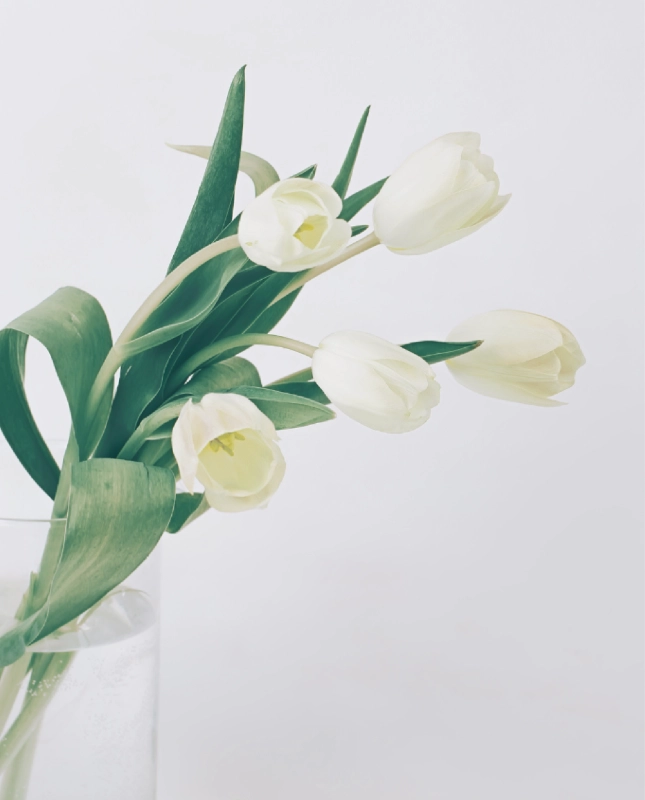 デビューまでのカリキュラム🎵