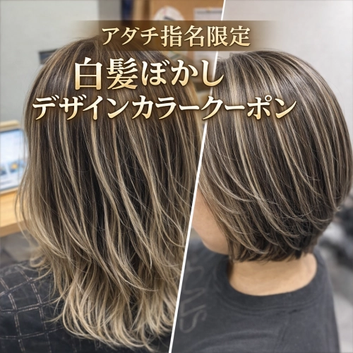 白髪ぼかしハイライトorバレイヤージュ ￥19800～ 