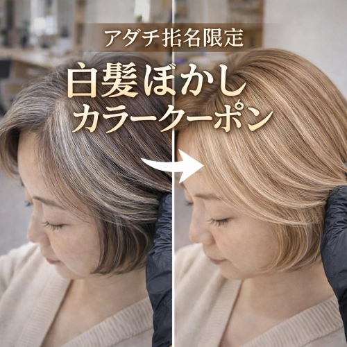 若見え艶カラー｜白髪ぼかしカラー＋カット＋トリートメント