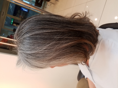 グレイヘア育成中