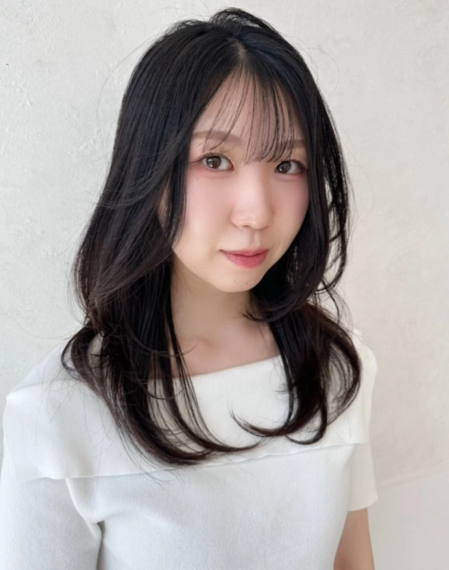 レイヤー